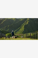 RURAL FREIGHT ADD ON