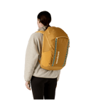 BLACK HOLE PACK 32L - PUFFERFISH GOLD