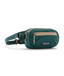 PATAGONIA TERRAVIA MINI HIP PACK - CASCADE GREEN