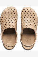 REEF WATER SAGE - OASIS