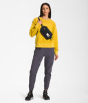 THE NORTH FACE BERKELEY LUMBAR MOUNT SURF SHOP