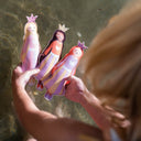 SUNNYLiFE DIVE BUDDIES PRINCESS SWAN MULTI SET OF 3