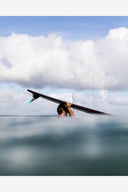 FCS THOMAS BEXON LONGBOARD FIN - BLOOM